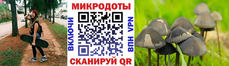 Псилоцибиновые грибы MAGIC MUSHROOMS  blacksprut ссылки  Надым  хочу наркоту 