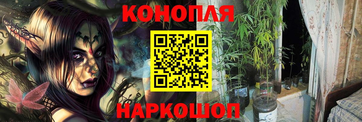 Конопля Ganja Надым